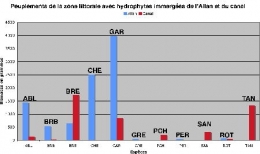 biomasse_Allan-canal_LHYIP-1.jpg