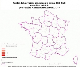 ambroisie,ambroisie en franche-comté