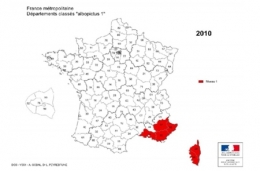 moustique-tigre,aedes albopictus,dengue,chikungunya,zika,hugo jalinière,sciences et avenir