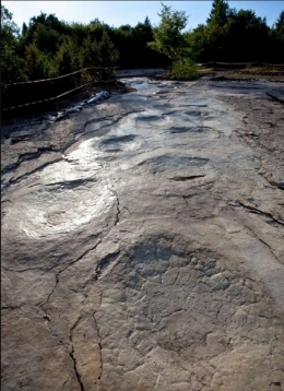 dinosaures,sauropodes,fossiles,pistes,jurassique,jura