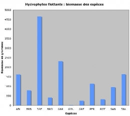 hydrophytes-poids_d+m1.jpg