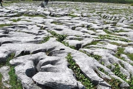 Lapiaz-de-Burren-(Irlande)-450.jpg