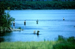 Alaska-4-Pecheurs&ours©PatrickCabrol_1993-450.jpg