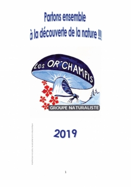 calendrier orchampis 2019_Page_1.jpg