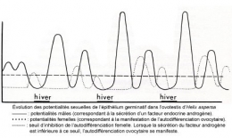 Fig_R_potentialités_sexuelles1.jpg