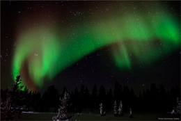 aurore boréale,nuit polaire,grand nord,dominique delfino,photographe naturaliste et animalier