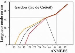 lacs_gardon_créteil_015-1.jpg