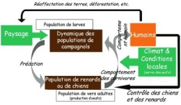 07-Giraudoux-modalite-contamination-1.jpg