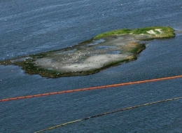 marée noire,dispersants,deepwater horizon,coredit 9500,golfe du mexique,bp,british petroleum,plateforme pétrolière,pétrole offshore,floride,louisiane,bayous,oiseaux marins