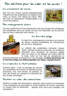 amphibiens,amphibiens de france,aspas