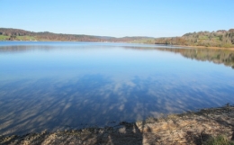 lacs,jura,limnologie,poissons,lac de saint-point,lac de remoray,lac de chalain,lac d'ilay,lac de la motte,lac du petit-maclu,lac du grand-maclu,lac de bonlieu,lacs de clairvaux les lacs