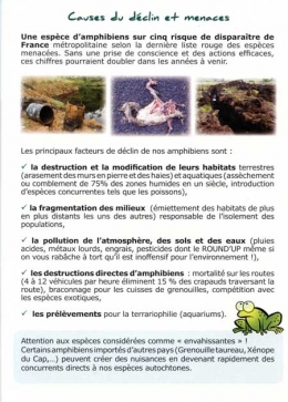 amphibiens,amphibiens de france,aspas