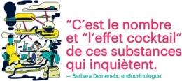 perturbateurs endocriniens,pollution,santé,environnement