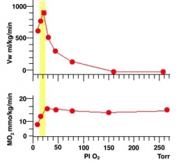 adaptation,eaux douces,organismes dulcicoles,organismes dulçaquicoles,ecrétion,problème osmotique,ionorégulation