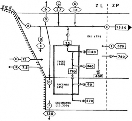 Figure-5-450.jpg