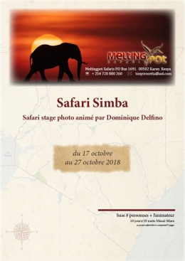 Safari-KENYA-Dominique-Delfino-octobre-2018.-page1-450.jpg