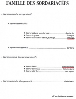 Champignons_coprophiles_031-11.jpg