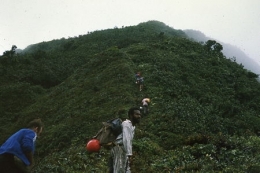 Guadeloupe_Soufrière_Carmichaël_1977_068-1.jpg