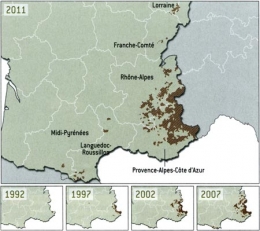 loup,mercantour,alpes,vercors,jura,vosges,savoie,bauges