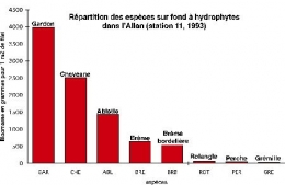 Allan_biomasse_LHYI-1.jpg