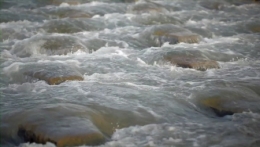 poissons,rivière,pêche,doubs,rhône,loue,durance,ardèche,drôme