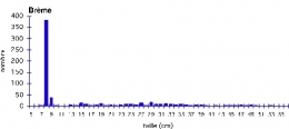 Brème_échantillon-moyen_Doubs-1.jpg