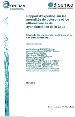 loue,pollution,colmatage,algues filamenteuses