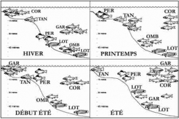 lacs_poissons_saisons_Gerdeaux_1.jpg