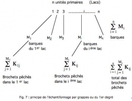 Fig 7-1.jpg