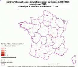 ambroisie,ambroisie en franche-comté