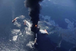 marée noire,dispersants,deepwater horizon,coredit 9500,golfe du mexique,bp,british petroleum,plateforme pétrolière,pétrole offshore,floride,louisiane,bayous,oiseaux marins