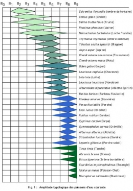 Poissons_Amplitude_typologique-450.jpg