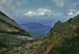 Guadeloupe_Monts caraïbes_1975_028-1.jpg