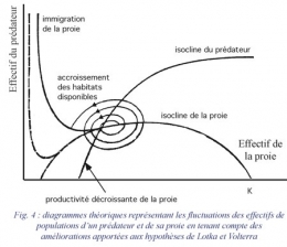 prédation-loup-fig4-1.jpg