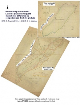 thise,forêt de thise,forestologie,sylviculture,jura,hêtre,chêne,office national des forêts,écologie forestière