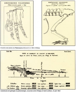 dinosaures,sauropodes,fossiles,pistes,jurassique