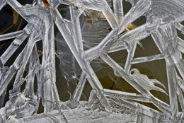 dominique delfino,dentelle de glace,allan