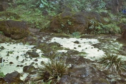 Guadeloupe_Soufrière1975_032-1.jpg