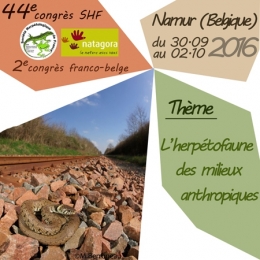 Congrès franco-belge Herpétologie-Première annonce-450.jpg