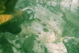 Guadeloupe_Soufrière_Carmichaël_1977_065-1.jpg