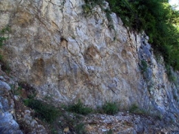 Coisia_08_06_22_01_site1.jpg