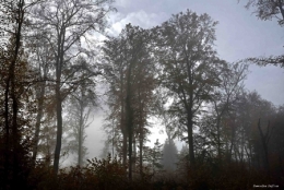 Automne éphémère_01-450.jpg