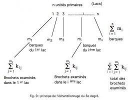 Fig 9-1.jpg