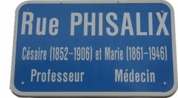 rue phisalix-blog.jpg