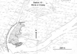 Station10_Morte_Crissey.jpg