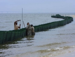 marée noire,dispersants,deepwater horizon,coredit 9500,golfe du mexique,bp,british petroleum,plateforme pétrolière,pétrole offshore,floride,louisiane,bayous,oiseaux marins