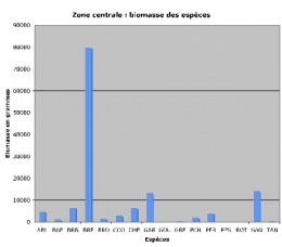Zone centrale-poids_d+m1.jpg
