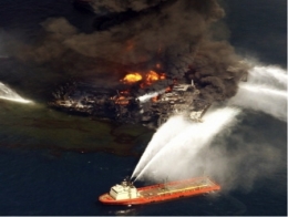 marée noire,dispersants,deepwater horizon,coredit 9500,golfe du mexique,bp,british petroleum,plateforme pétrolière,pétrole offshore,floride,louisiane,bayous,oiseaux marins