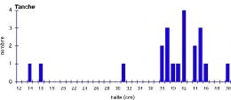 Tanche_échantillon-moyen_Doubs-1.jpg