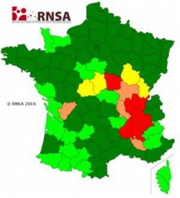 ambroisie,ambroisie en franche-comté